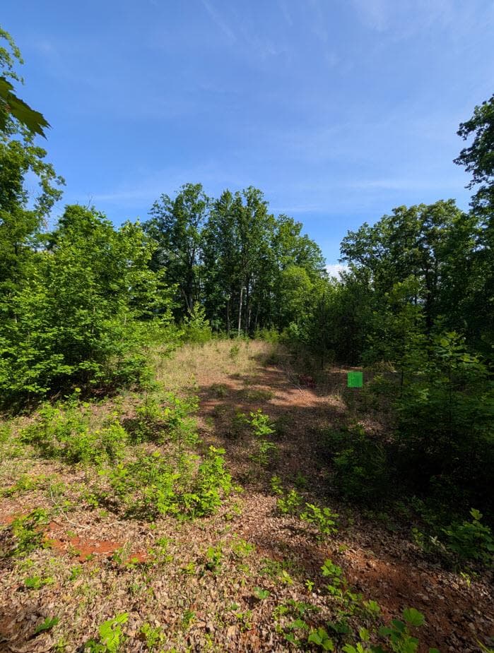 TR 2 Falcon Overlook, Hayesville NC 28904 - Photo