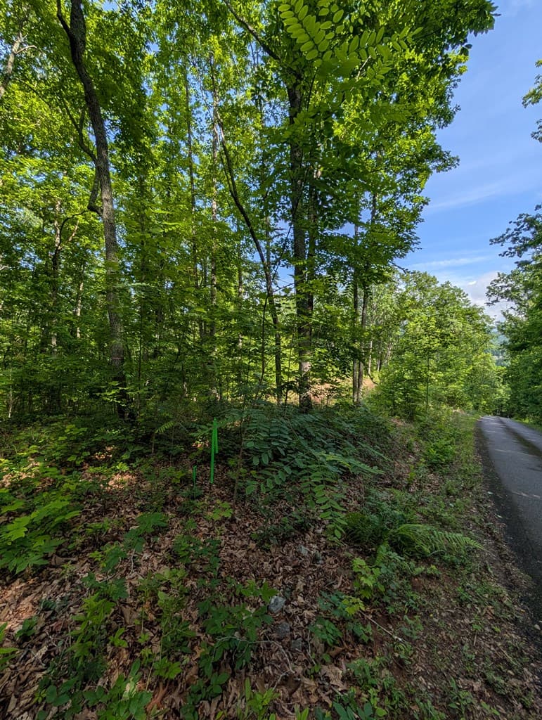 TR 2 Falcon Overlook, Hayesville NC 28904 - Photo