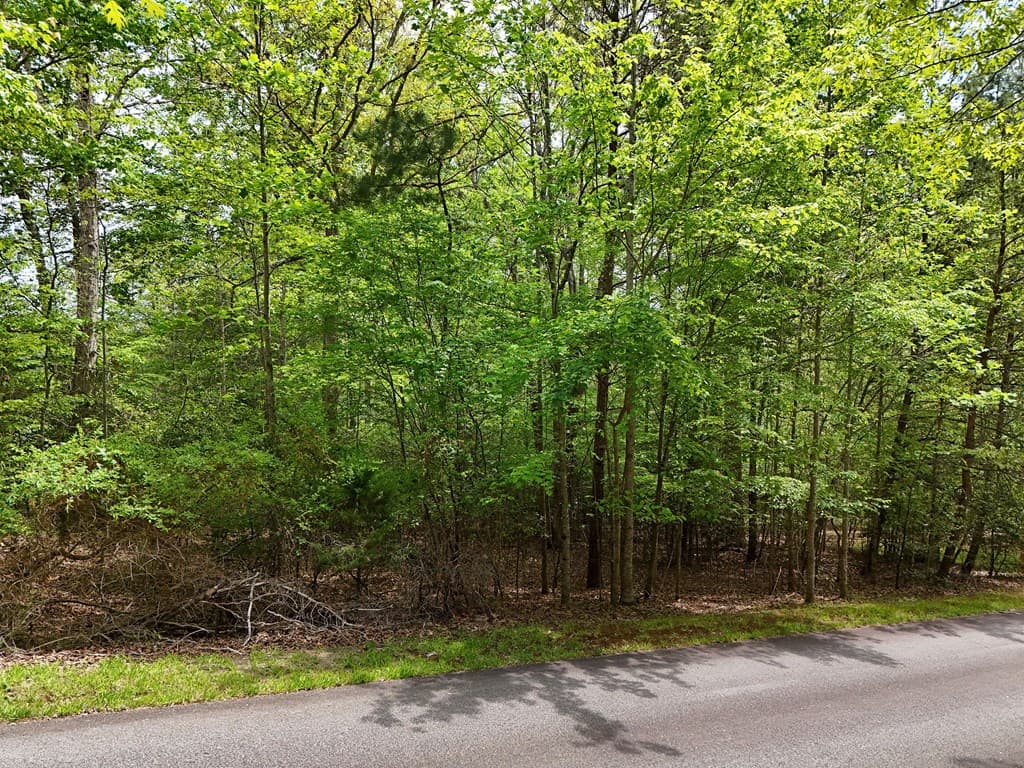 Lot 112 Falcon Drive, Blairsville GA 30512 - Photo