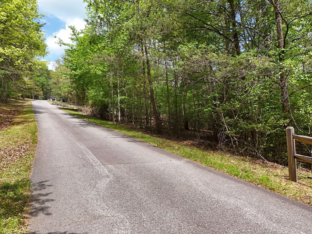 Lot 112 Falcon Drive, Blairsville GA 30512 - Photo