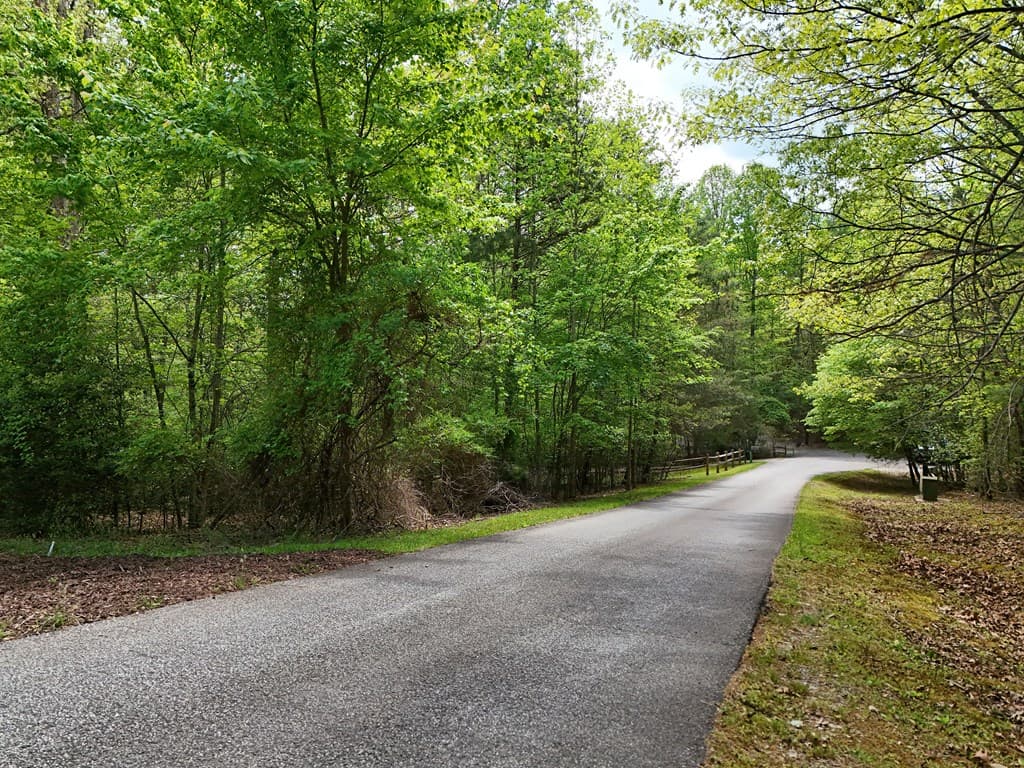 Lot 112 Falcon Drive, Blairsville GA 30512 - Photo