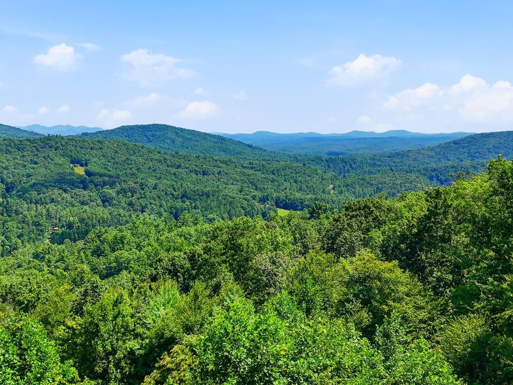 135 Bandit Lane, Blue Ridge GA 30513 - Photo