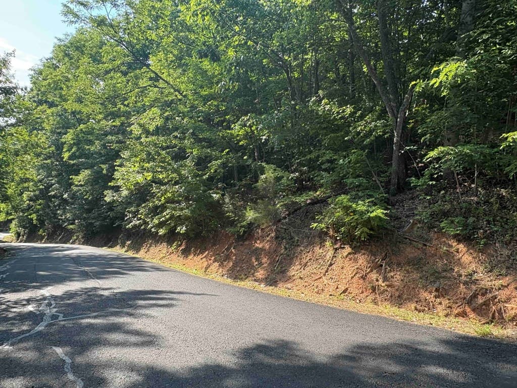 Lot 46 Dan Knob (Lot), Hayesville NC 28904 - Photo