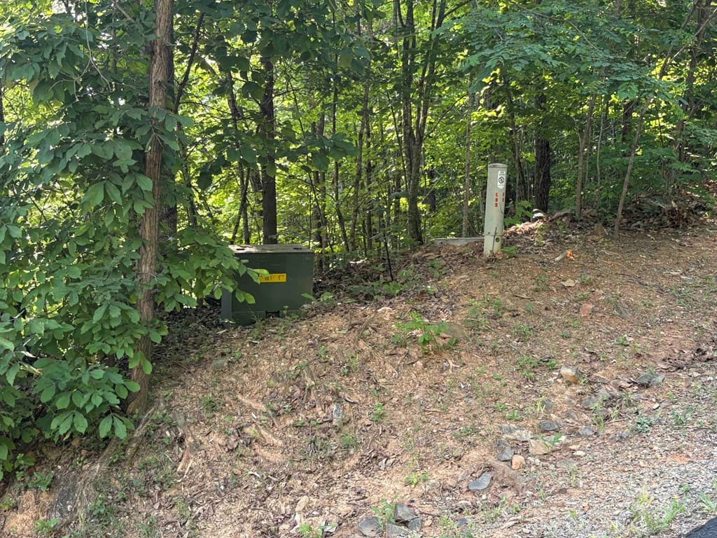 Lot 46 Dan Knob (Lot), Hayesville NC 28904 - Photo