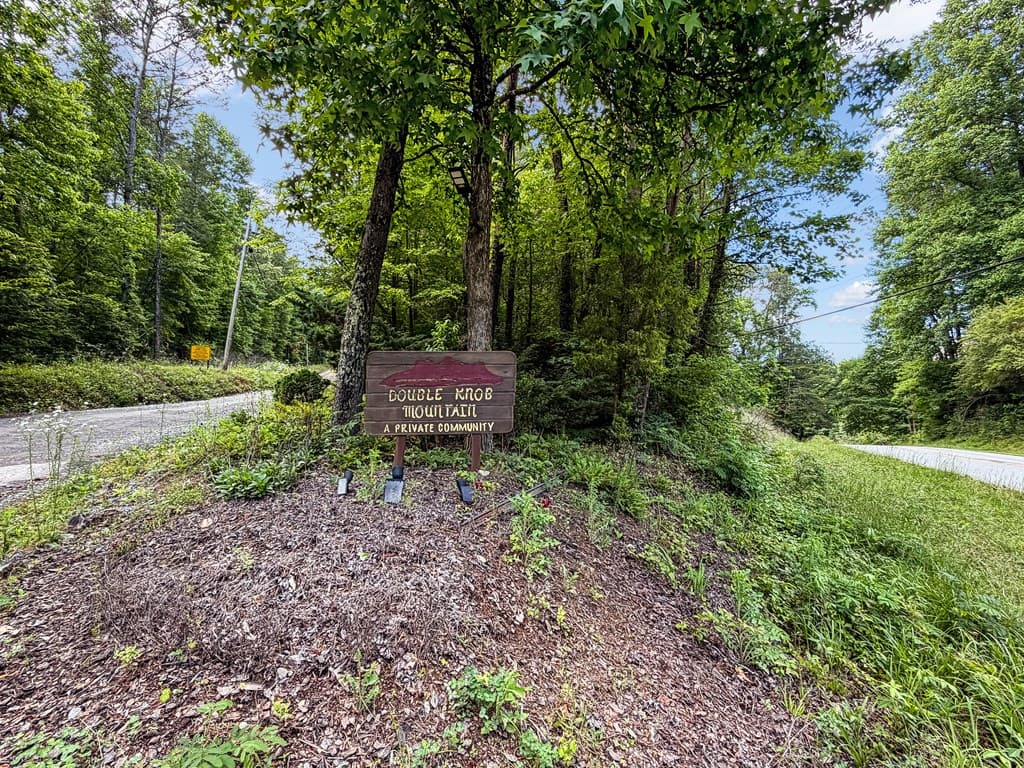 5.58 Gobbler Knob Drive, Ellijay GA 30540 - Photo
