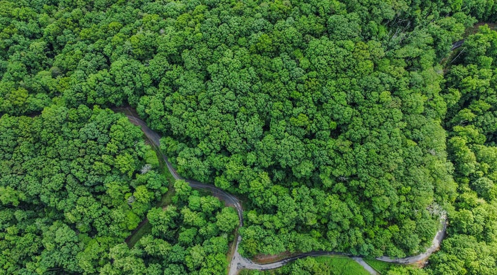 5.58 Gobbler Knob Drive, Ellijay GA 30540 - Photo