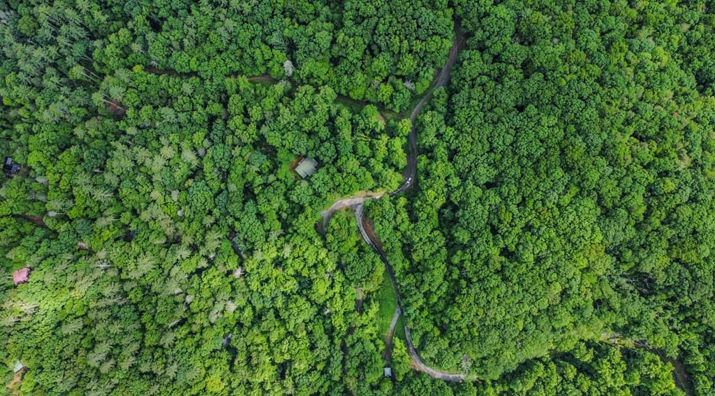 5.58 Gobbler Knob Drive, Ellijay GA 30540 - Photo
