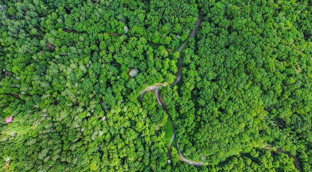 5.58 Gobbler Knob Drive, Ellijay GA 30540 - Photo