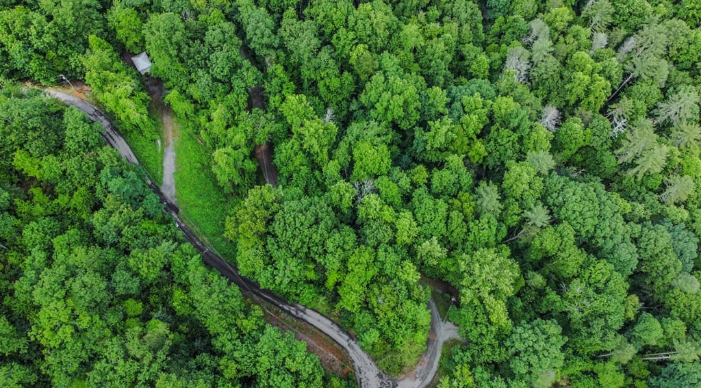 5.58 Gobbler Knob Drive, Ellijay GA 30540 - Photo