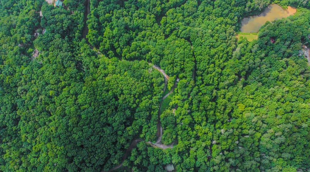 5.58 Gobbler Knob Drive, Ellijay GA 30540 - Photo