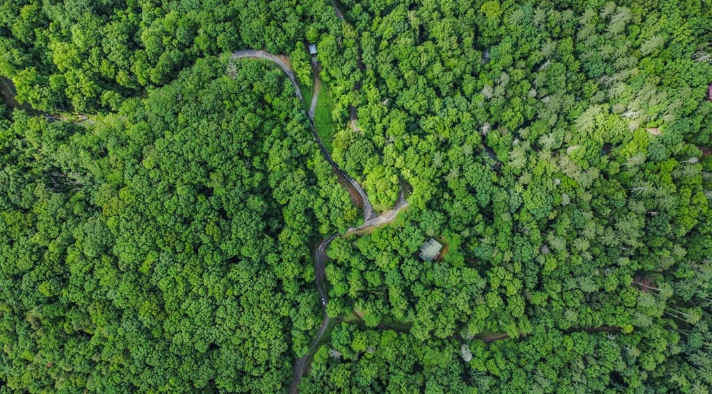 5.58 Gobbler Knob Drive, Ellijay GA 30540 - Photo