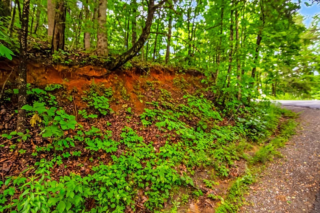 5.58 Gobbler Knob Drive, Ellijay GA 30540 - Photo