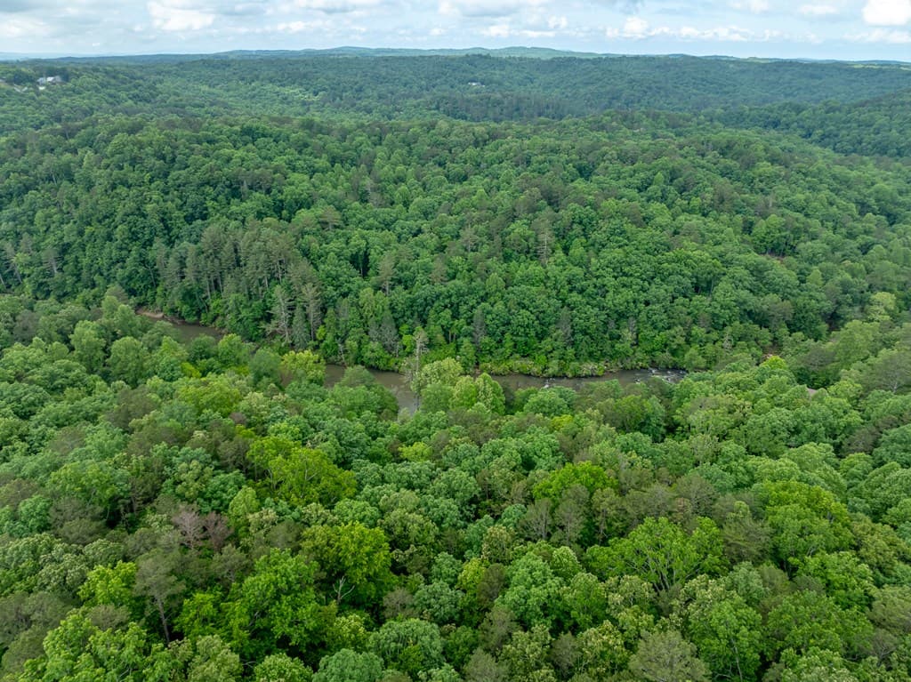 2601LT Parker Way, Ellijay GA 30540 - Photo