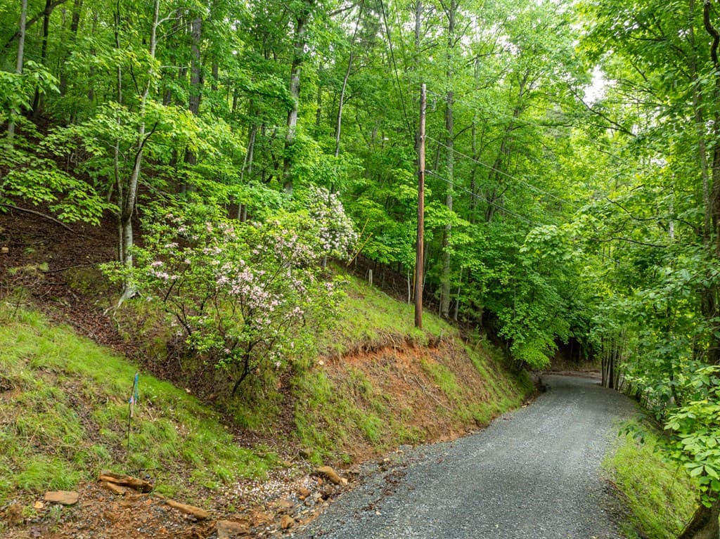 2601LT Parker Way, Ellijay GA 30540 - Photo