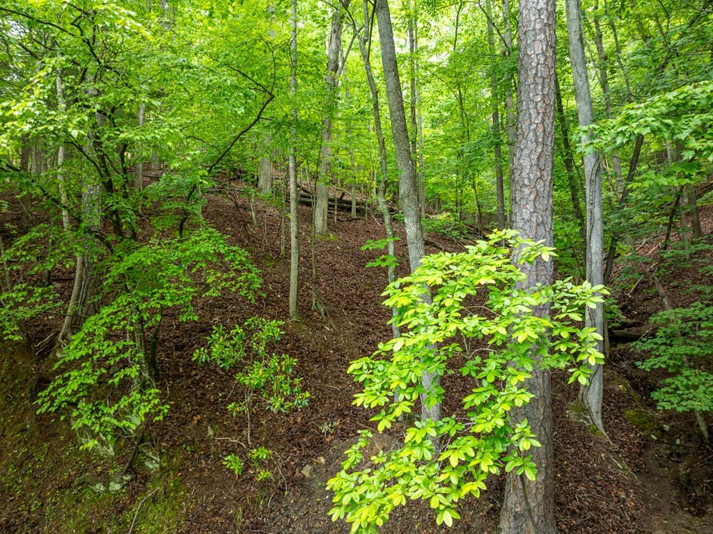 2601LT Parker Way, Ellijay GA 30540 - Photo