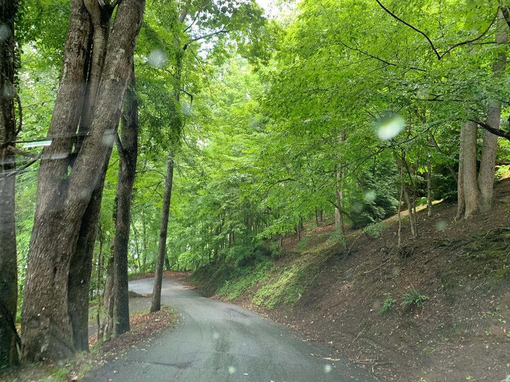 27 Lot Laurel Lane, Nantahala NC 28781 - Primary photo