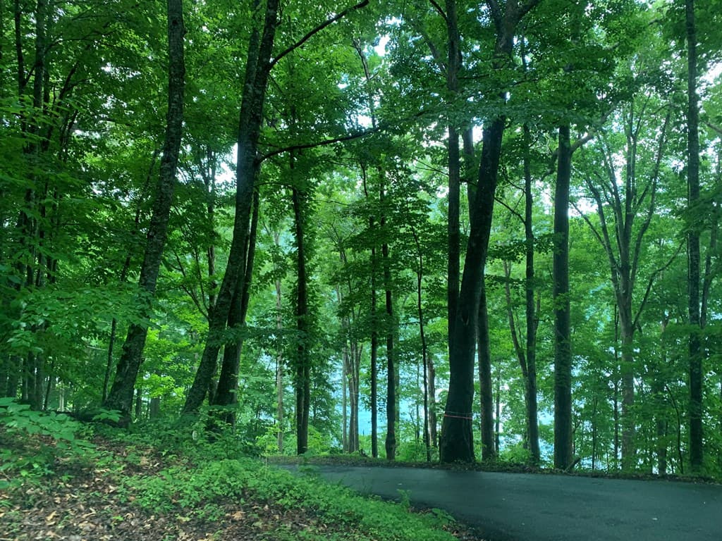 27 Lot Laurel Lane, Nantahala NC 28781 - Photo