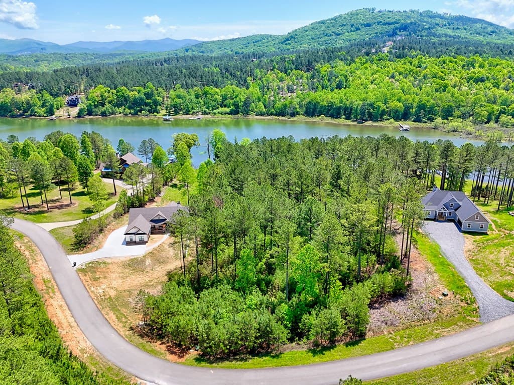 Lot 114 Sandy Lake Lane, Blairsville GA 30512 - Photo