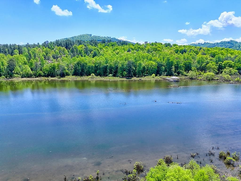 Lot 114 Sandy Lake Lane, Blairsville GA 30512 - Photo