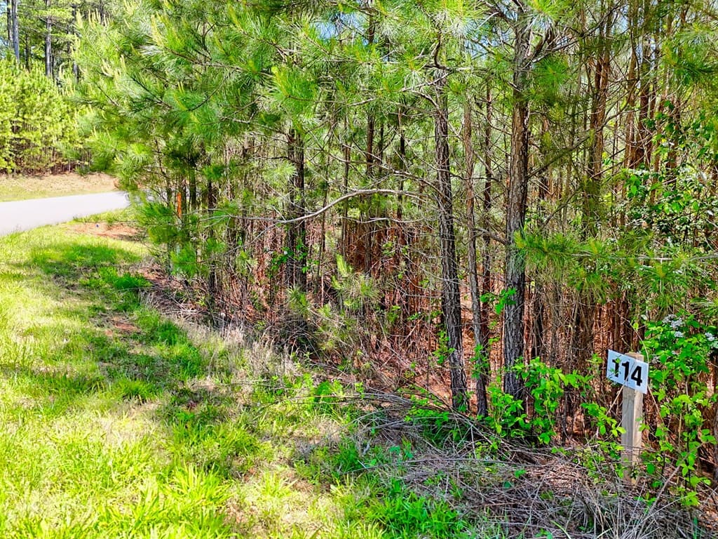 Lot 114 Sandy Lake Lane, Blairsville GA 30512 - Photo