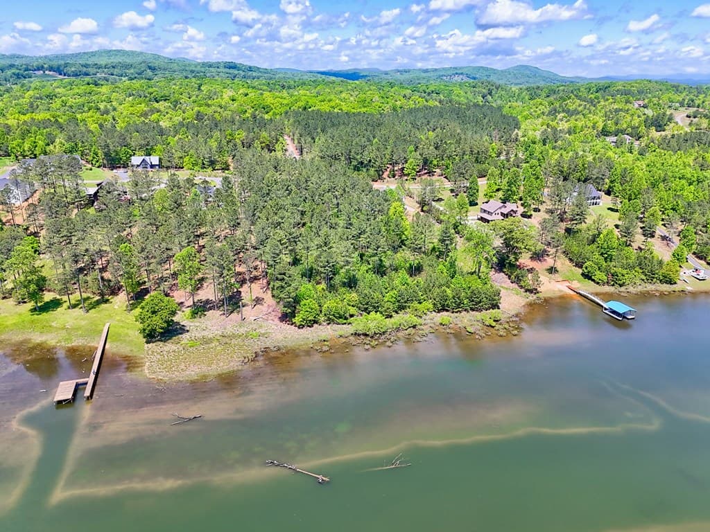 Lot 114 Sandy Lake Lane, Blairsville GA 30512 - Photo