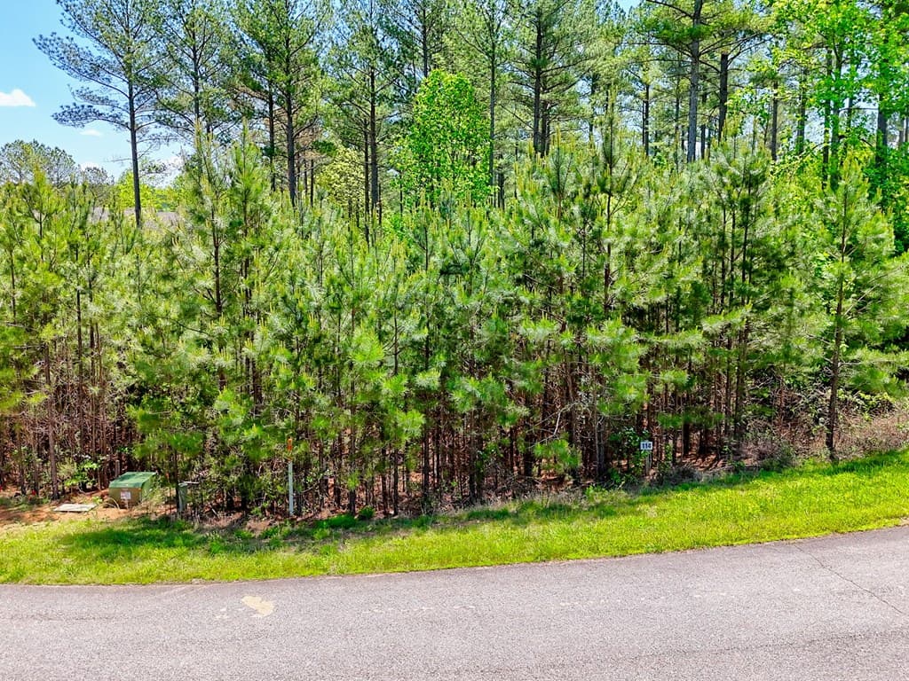 Lot 114 Sandy Lake Lane, Blairsville GA 30512 - Photo