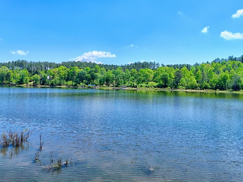 Lot 114 Sandy Lake Lane, Blairsville GA 30512 - Photo