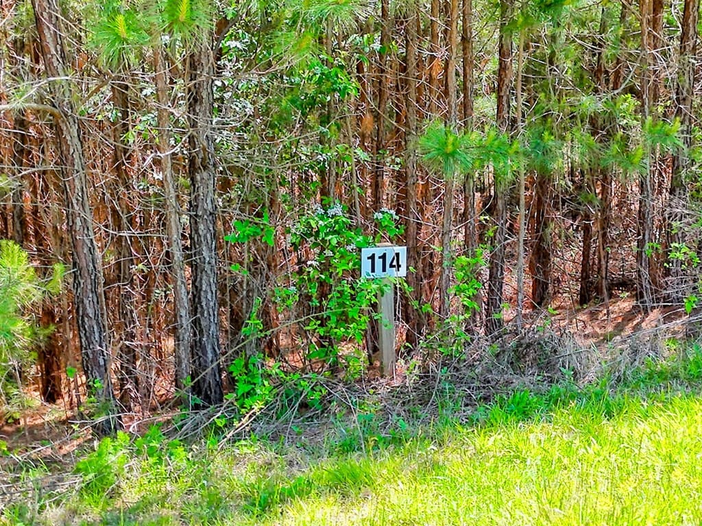 Lot 114 Sandy Lake Lane, Blairsville GA 30512 - Photo