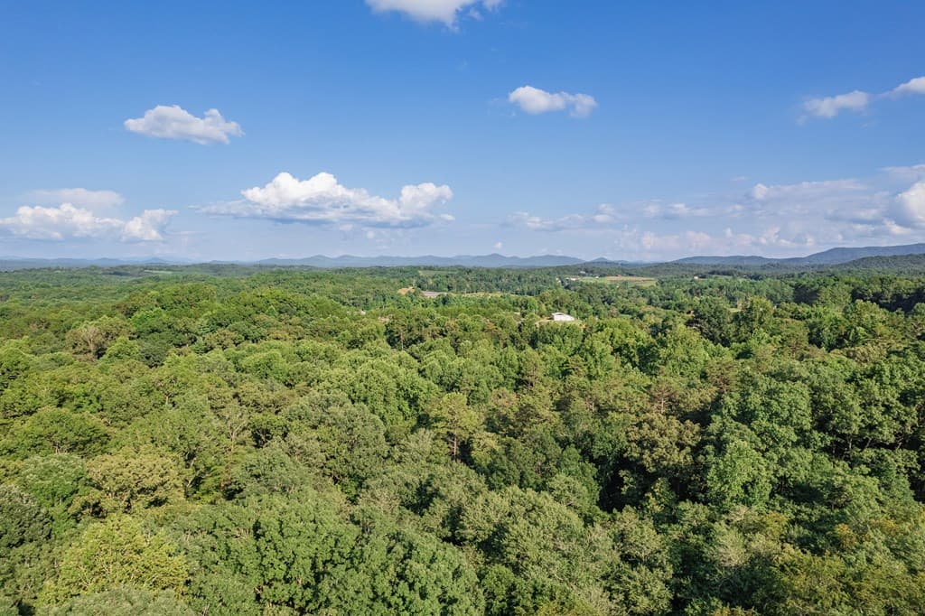 270 Stone Lane, Blue Ridge GA 30513 - Photo