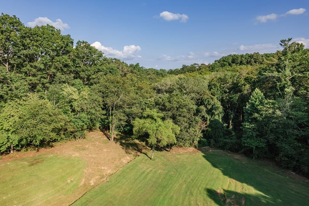 270 Stone Lane, Blue Ridge GA 30513 - Photo