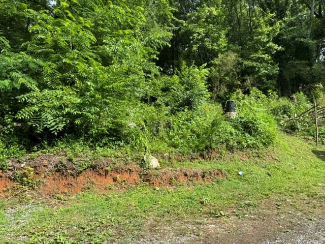 92 Benji Drive, Ellijay GA 30540 - Photo