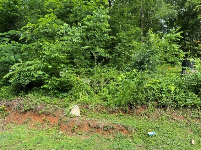 92 Benji Drive, Ellijay GA 30540 - Photo