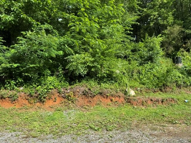 92 Benji Drive, Ellijay GA 30540 - Primary photo