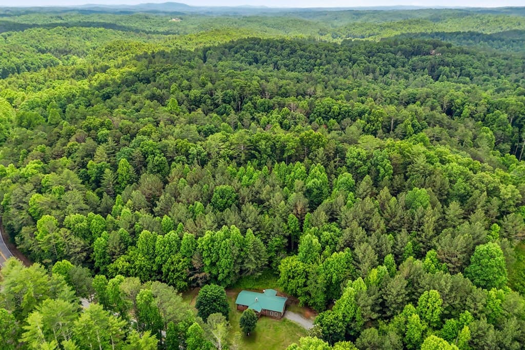 7741 Chatsworth Hwy/52w, Ellijay GA 30540 - Photo
