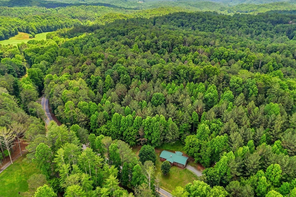 7741 Chatsworth Hwy/52w, Ellijay GA 30540 - Photo