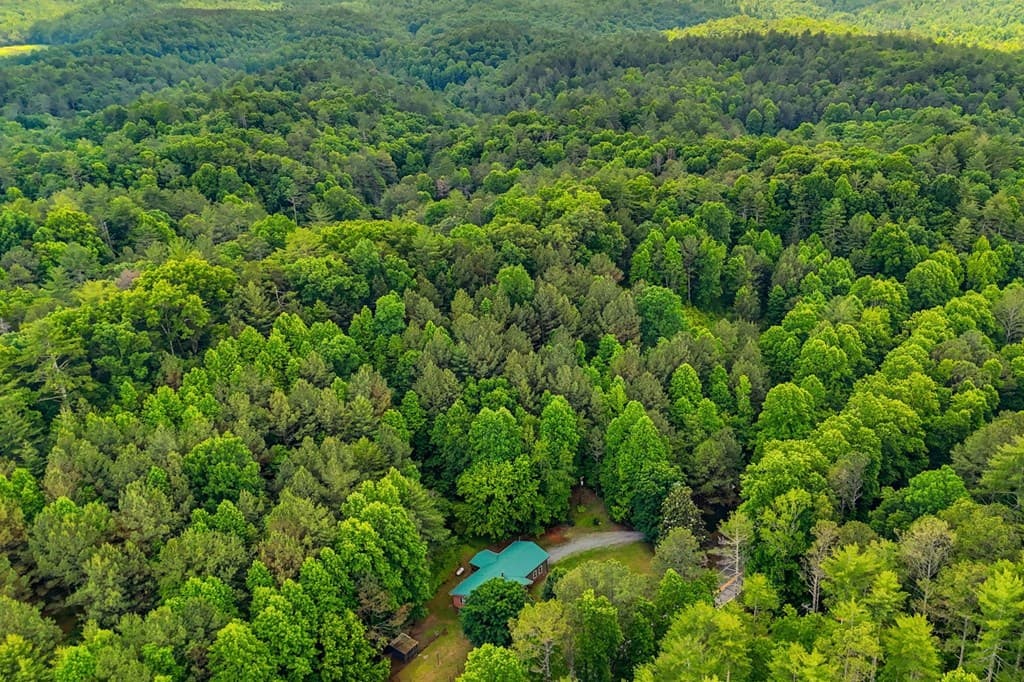 7741 Chatsworth Hwy/52w, Ellijay GA 30540 - Photo