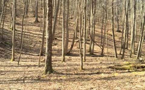 0 Gooch Creek Cove, Suches GA 30572 - Photo