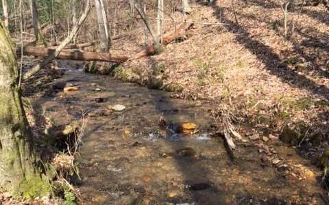 0 Gooch Creek Cove, Suches GA 30572 - Primary photo