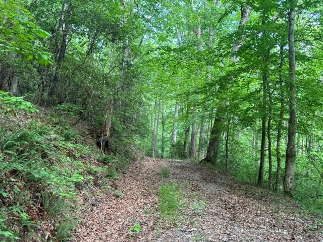 0 Gooch Creek Cove, Suches GA 30572 - Photo