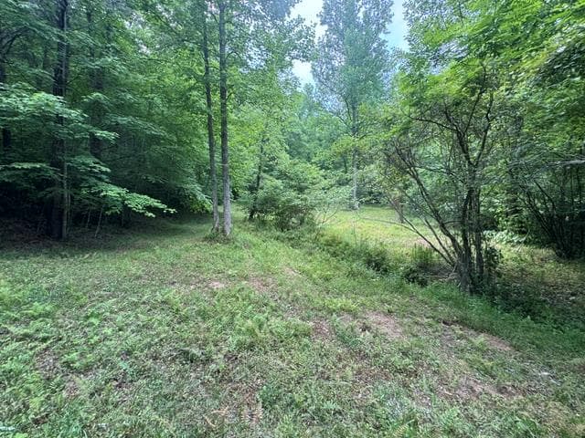 0 Gooch Creek Cove, Suches GA 30572 - Photo