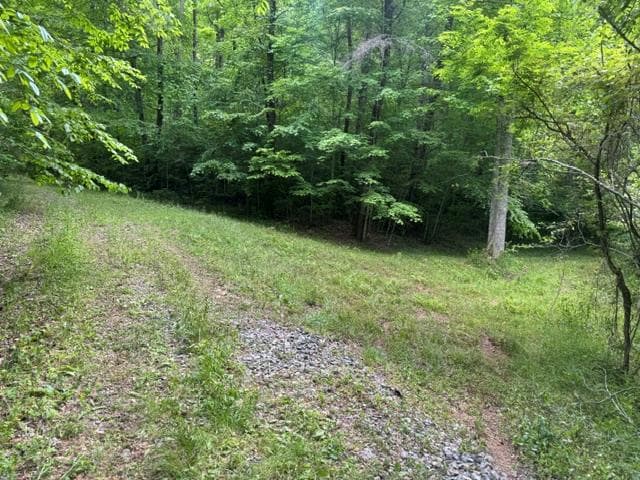 0 Gooch Creek Cove, Suches GA 30572 - Photo