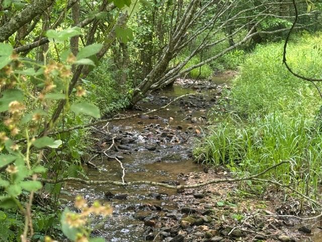 0 Gooch Creek Cove, Suches GA 30572 - Photo