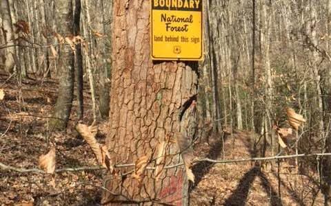 0 Gooch Creek Cove, Suches GA 30572 - Photo