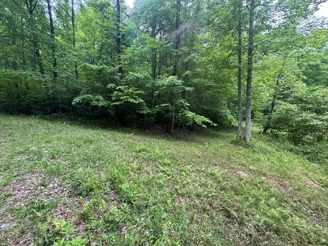 0 Gooch Creek Cove, Suches GA 30572 - Photo