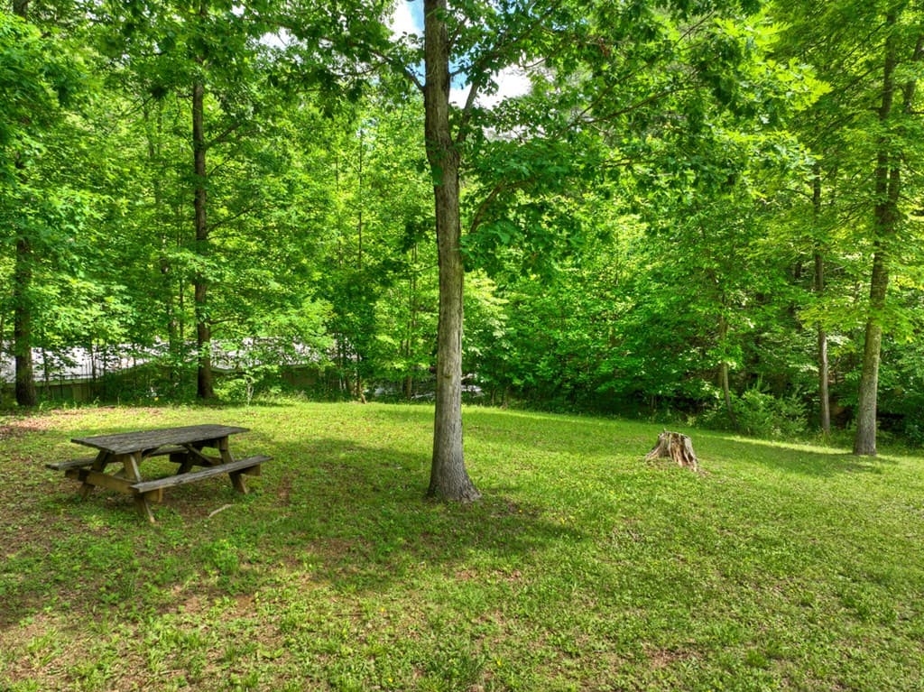665 Ridgeview Road, Morganton GA 30560 - Photo