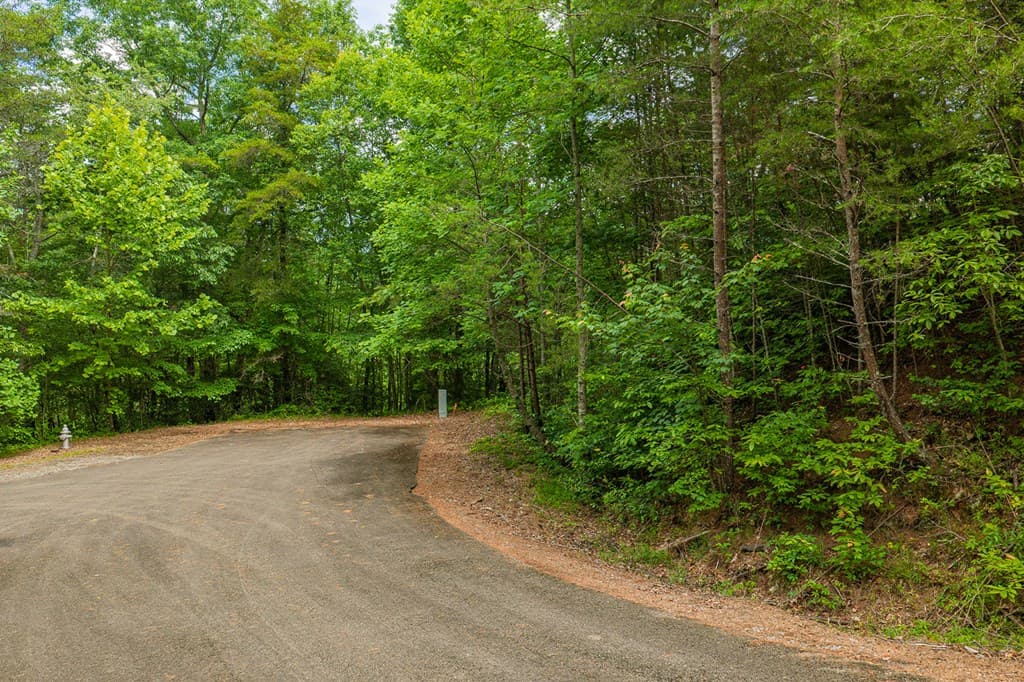 Lot 21 Aspen Avenue, Ellijay GA 30540 - Photo