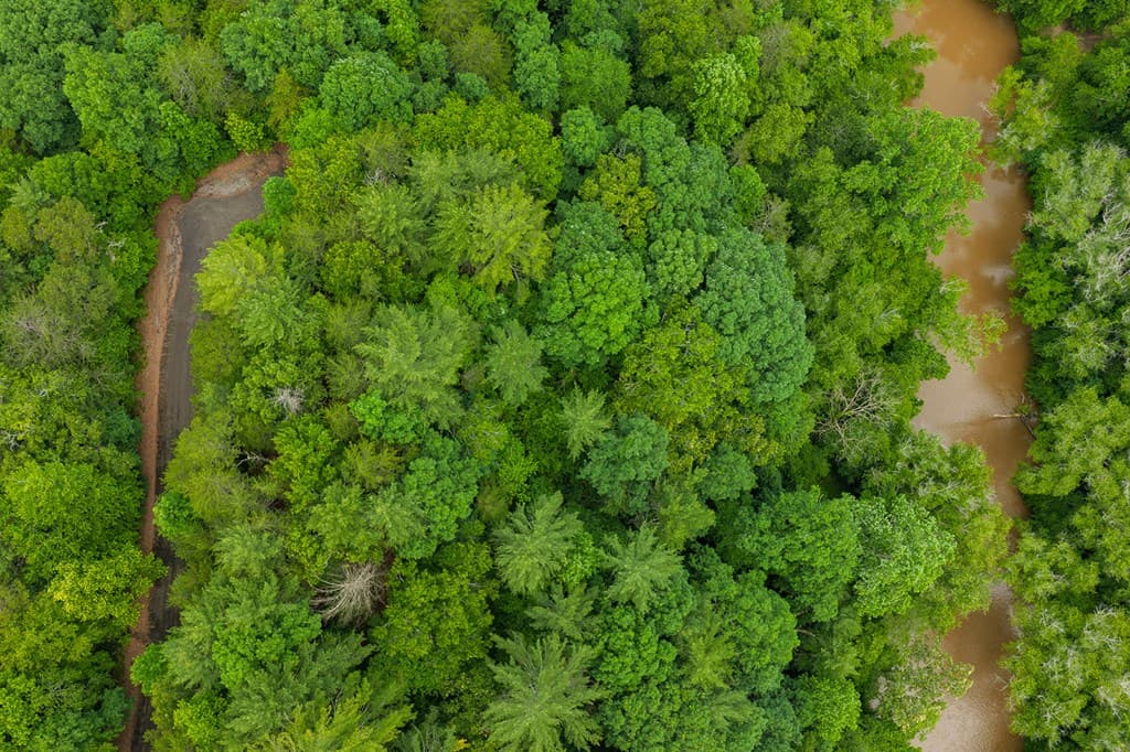 Lot 21 Aspen Avenue, Ellijay GA 30540 - Photo