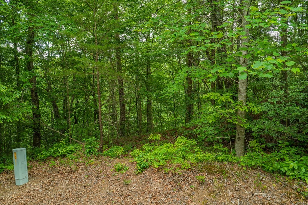Lot 21 Aspen Avenue, Ellijay GA 30540 - Photo