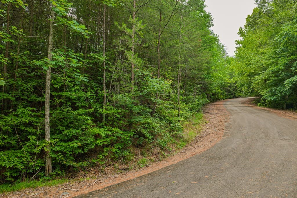 Lot 21 Aspen Avenue, Ellijay GA 30540 - Photo