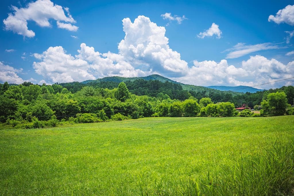 14.36 AC Night Lane, Epworth GA 30541 - Photo